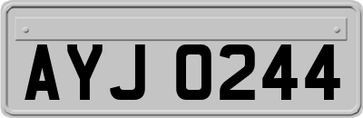 AYJ0244