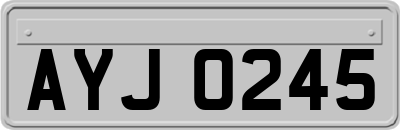 AYJ0245
