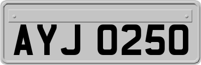 AYJ0250