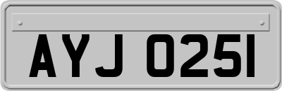 AYJ0251