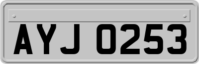 AYJ0253