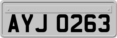 AYJ0263