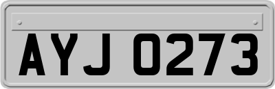 AYJ0273