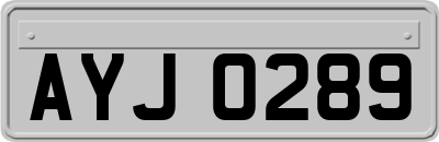 AYJ0289