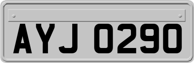 AYJ0290