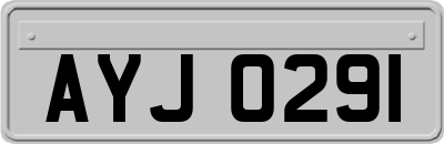 AYJ0291