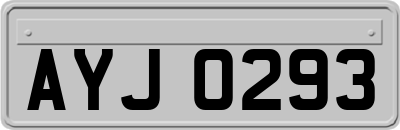 AYJ0293