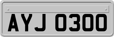 AYJ0300