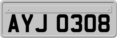 AYJ0308
