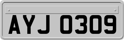 AYJ0309