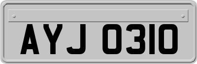 AYJ0310