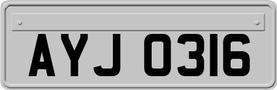 AYJ0316