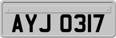 AYJ0317