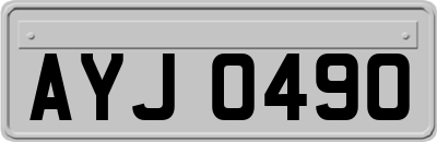 AYJ0490