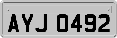 AYJ0492
