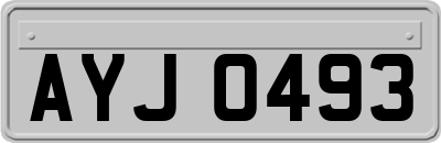 AYJ0493