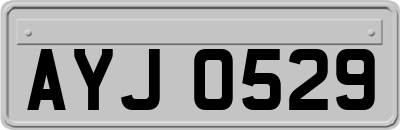AYJ0529