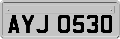 AYJ0530