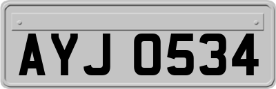 AYJ0534