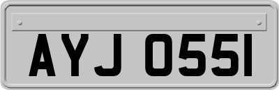 AYJ0551