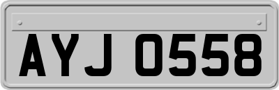 AYJ0558