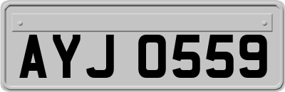 AYJ0559