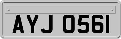 AYJ0561