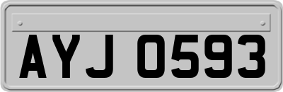 AYJ0593