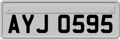 AYJ0595