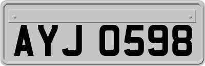 AYJ0598