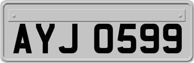 AYJ0599