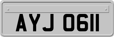 AYJ0611