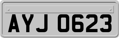 AYJ0623