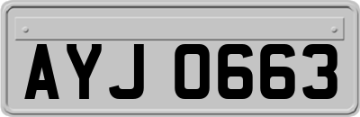 AYJ0663