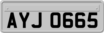 AYJ0665