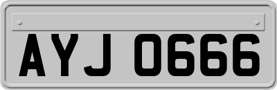 AYJ0666