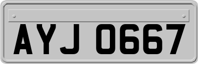 AYJ0667