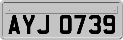 AYJ0739