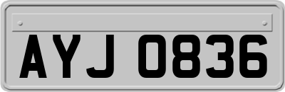 AYJ0836