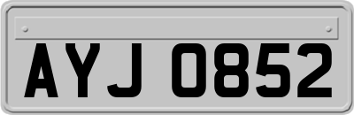 AYJ0852