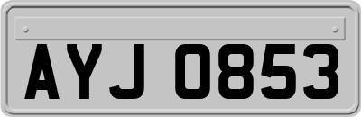 AYJ0853