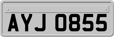 AYJ0855