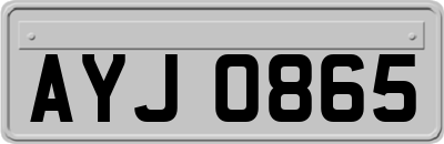 AYJ0865