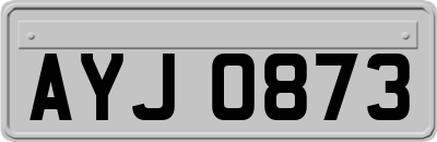AYJ0873