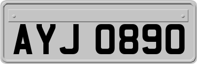 AYJ0890