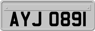 AYJ0891