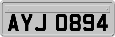 AYJ0894