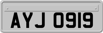 AYJ0919