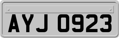 AYJ0923