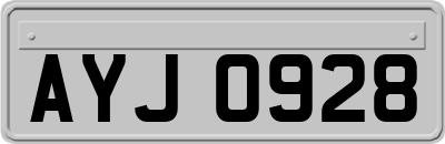 AYJ0928